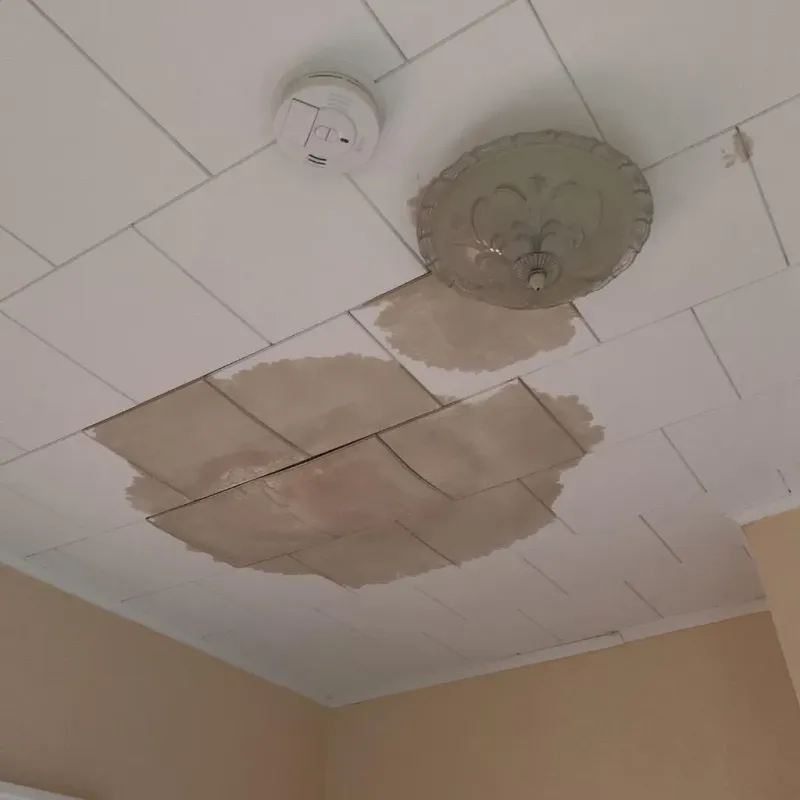 Ceiling Water Damage Repair in McCulloch County, TX