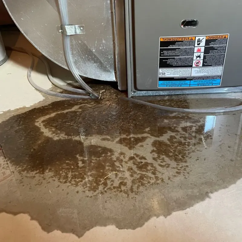 Pipe Burst and Leak Restoration in McCulloch County, TX