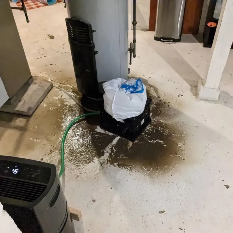 Sewage Backup Cleanup Service in McCulloch County, TX